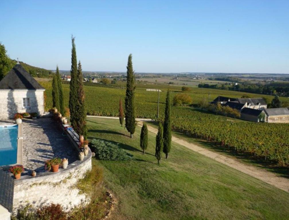 Domaine Beausejour Bed & Breakfast Panzoult Exterior photo
