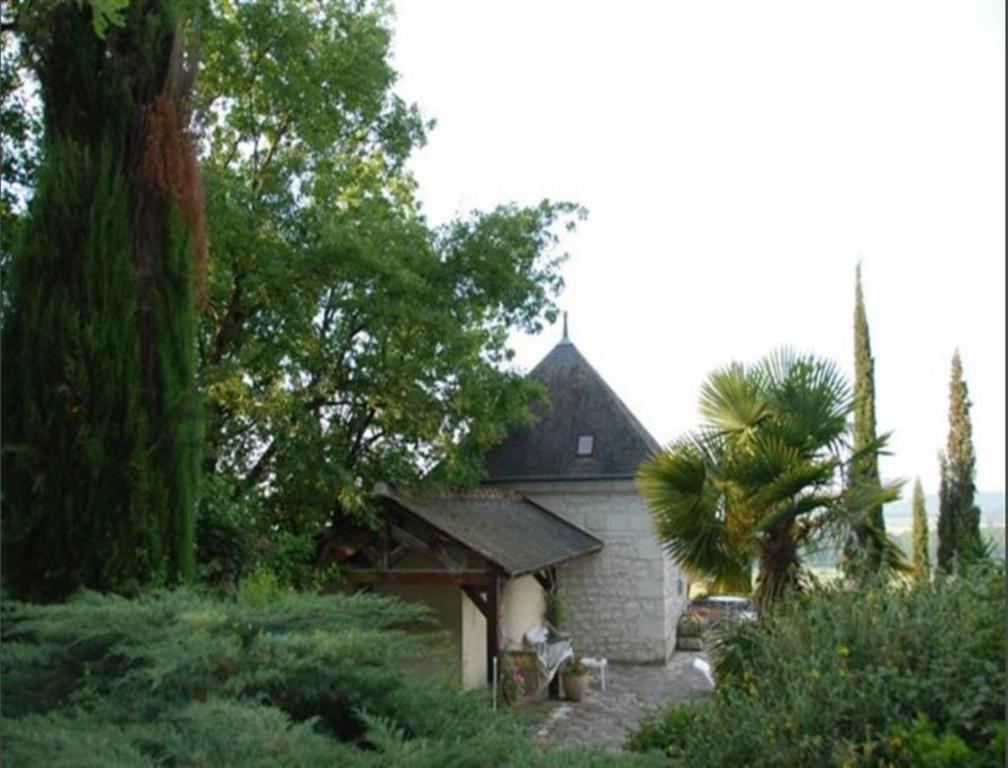 Domaine Beausejour Bed & Breakfast Panzoult Exterior photo